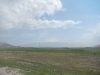 Ade Ararat